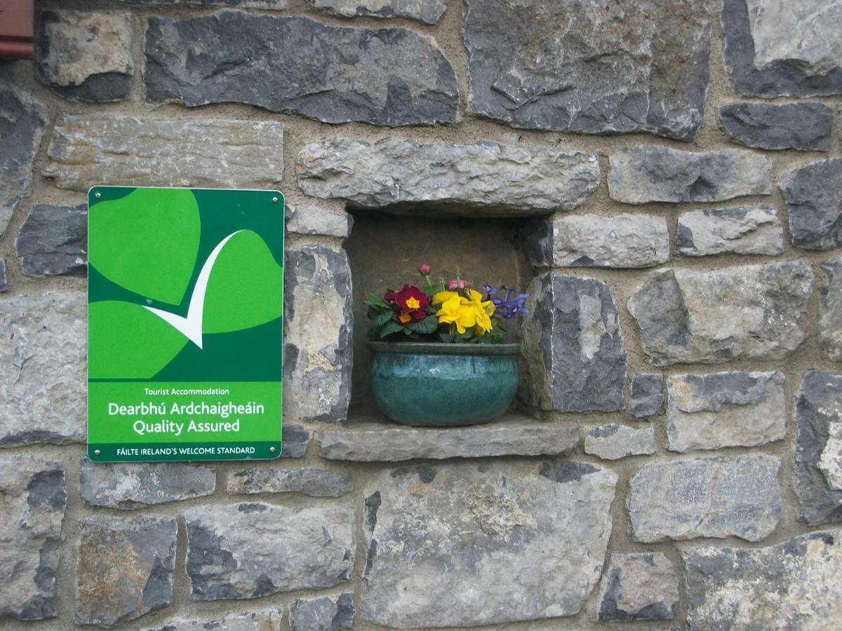 Aille River Tourist Hostel Glamping Doolin Exterior foto